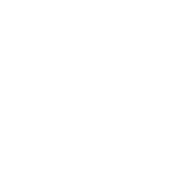 Chat GPT logo