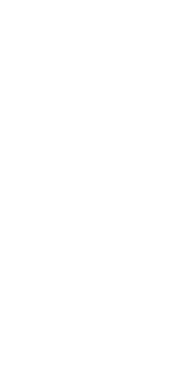 MongoDB logo