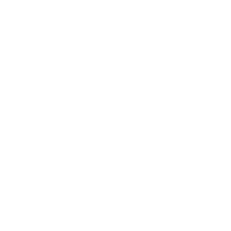 Next JS logo