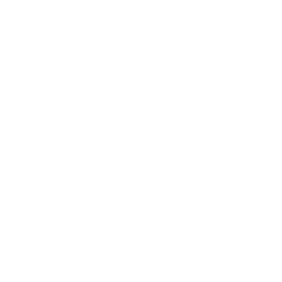 Shadcn UI logo